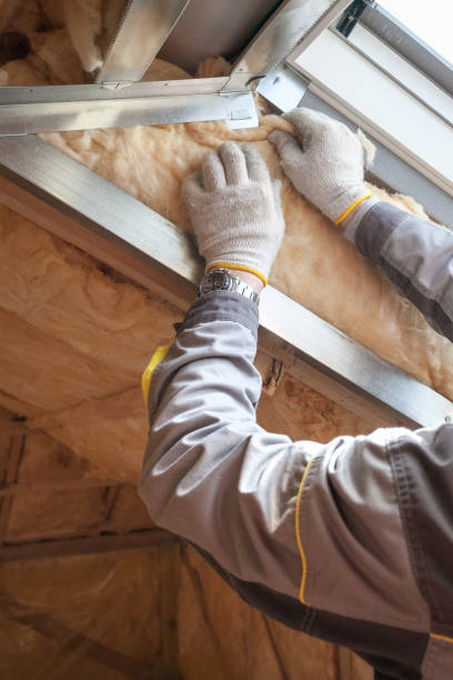 Best Attic Insulation Installation  in Blue Mound, IL