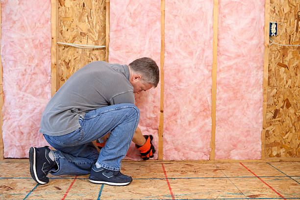 Best Insulation Contractors for Homes  in Blue Mound, IL